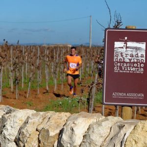 15056699_1881010152129381_3427072766187143168_n